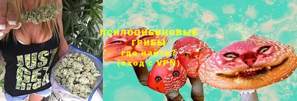 ГАЛЛЮЦИНОГЕННЫЕ ГРИБЫ Карпинск