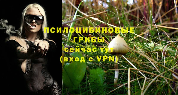 ГАЛЛЮЦИНОГЕННЫЕ ГРИБЫ Карпинск