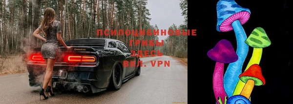 ГАЛЛЮЦИНОГЕННЫЕ ГРИБЫ Карпинск