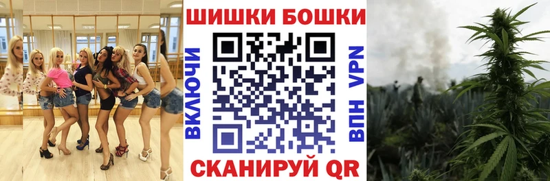 Бошки марихуана сатива  Купить закладки  Демидов 